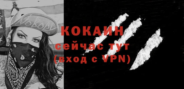 твердый Горнозаводск