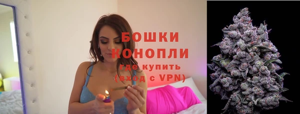 твердый Горнозаводск