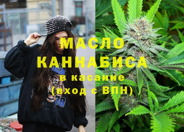 дмт Горняк
