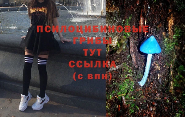 дурь Горно-Алтайск