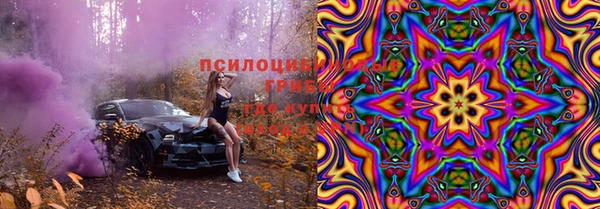 дмт Горняк