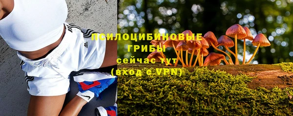 твердый Горнозаводск