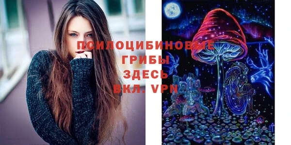 дурь Горно-Алтайск