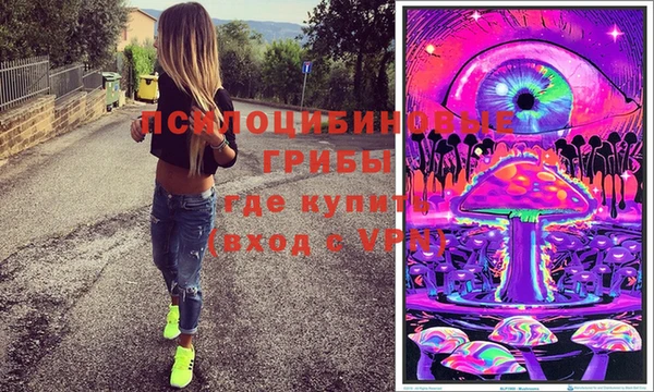 дурь Горно-Алтайск