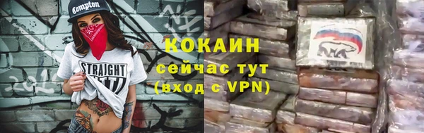 дмт Горняк