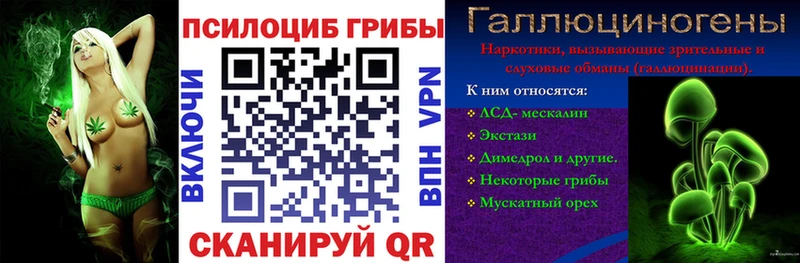 Купить  Пыть-Ях  Галлюциногенные грибы Magic Shrooms 